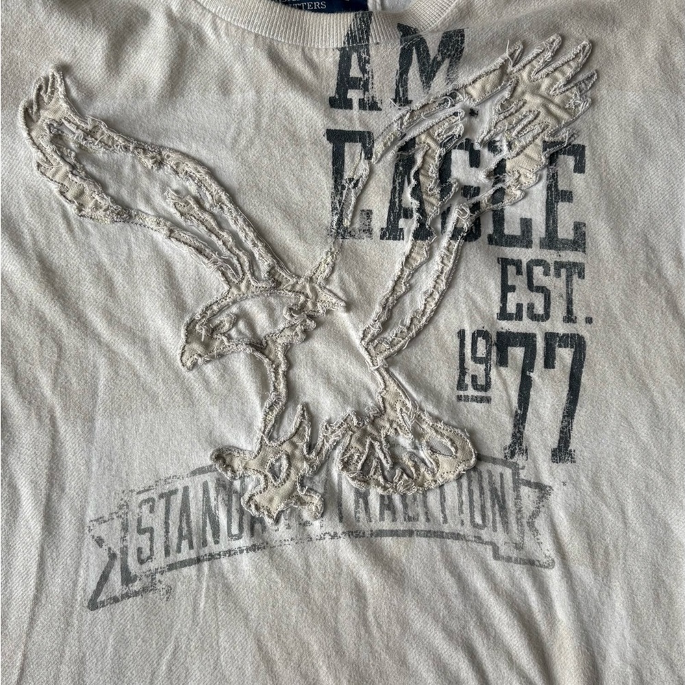American eagle - Picture 3 of 4